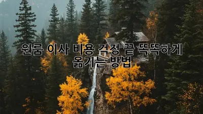 원룸 이사, 비용 걱정 끝! 똑똑하게 옮기는 방법